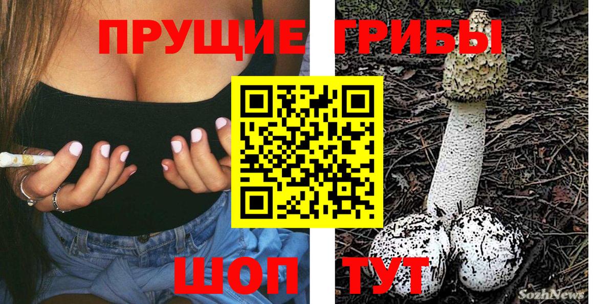 Торжок  закладка  Вход с VPN  Псилоцибиновые грибы Cubensis  Галлюциногенные грибы MAGIC MUSHROOMS 